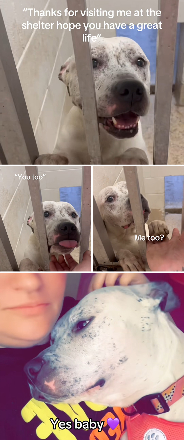 &#8220;Have A Great Life!&#8221;: 77 Of The Best Adoption Pics Ever