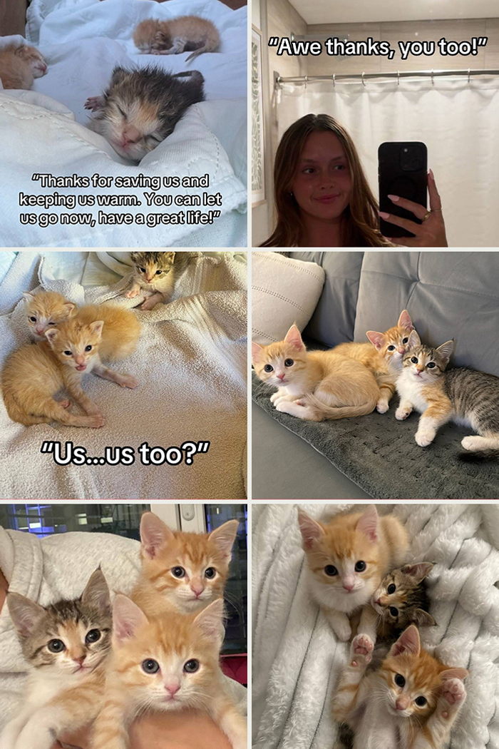 &#8220;Have A Great Life!&#8221;: 77 Of The Best Adoption Pics Ever