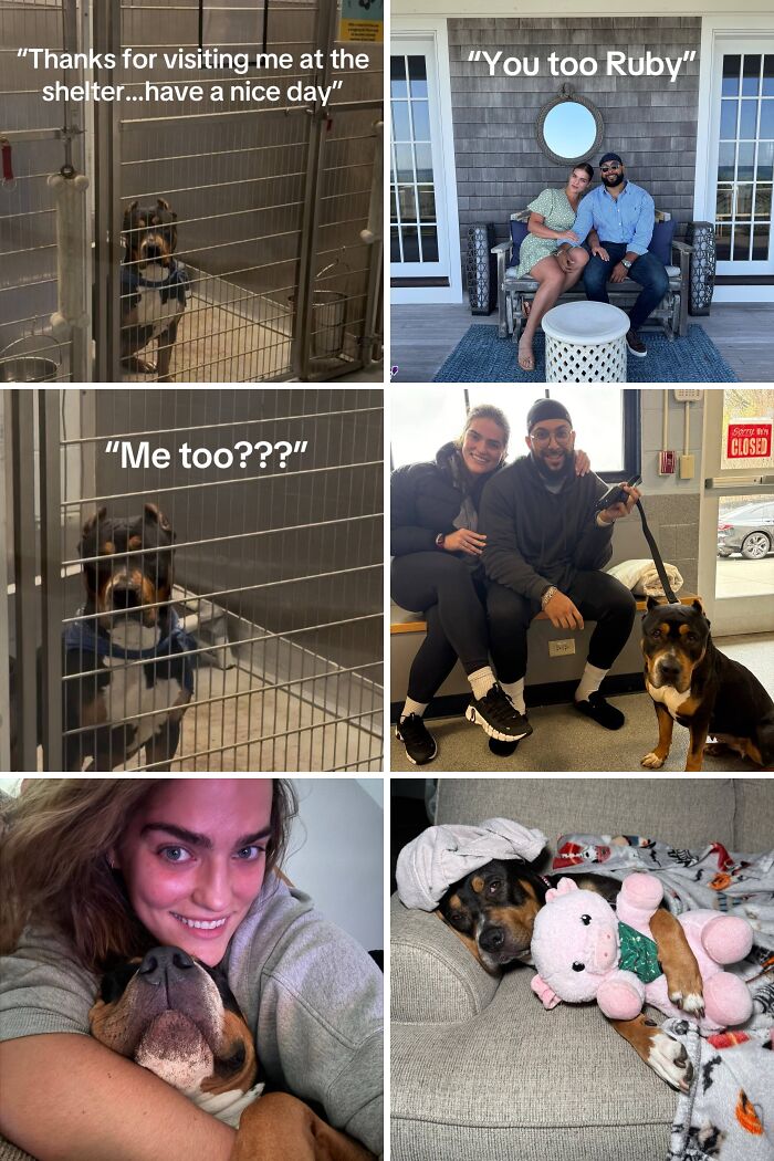 &#8220;Have A Great Life!&#8221;: 77 Of The Best Adoption Pics Ever