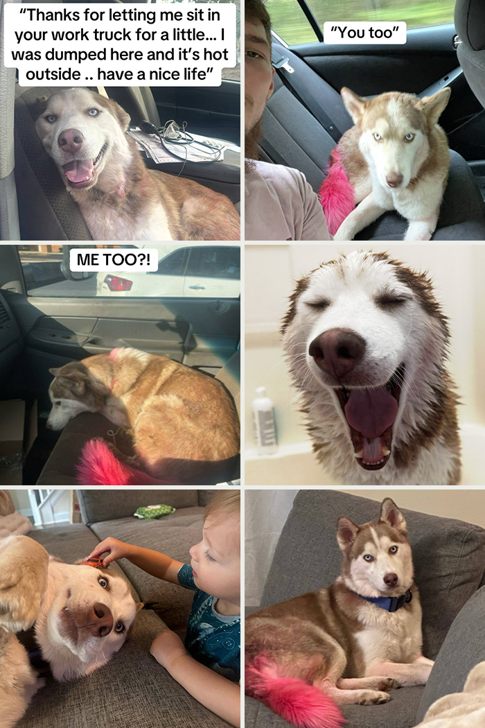&#8220;Have A Great Life!&#8221;: 77 Of The Best Adoption Pics Ever