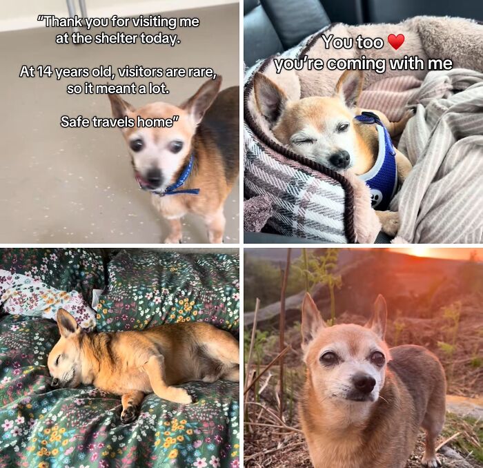 &#8220;Have A Great Life!&#8221;: 77 Of The Best Adoption Pics Ever
