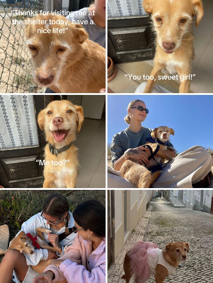 &#8220;Have A Great Life!&#8221;: 77 Of The Best Adoption Pics Ever