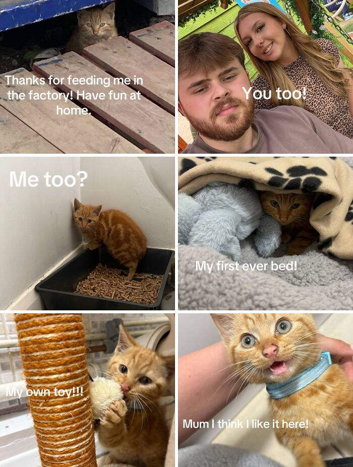 &#8220;Have A Great Life!&#8221;: 77 Of The Best Adoption Pics Ever