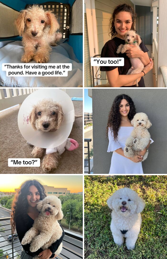 &#8220;Have A Great Life!&#8221;: 77 Of The Best Adoption Pics Ever