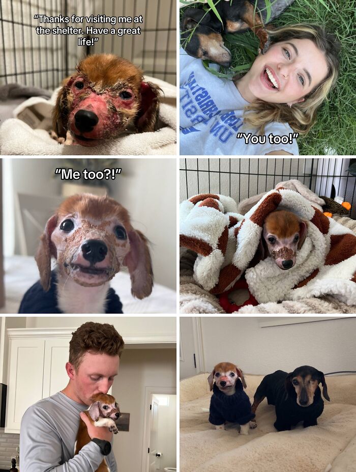 &#8220;Have A Great Life!&#8221;: 77 Of The Best Adoption Pics Ever