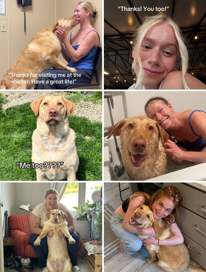 &#8220;Have A Great Life!&#8221;: 77 Of The Best Adoption Pics Ever