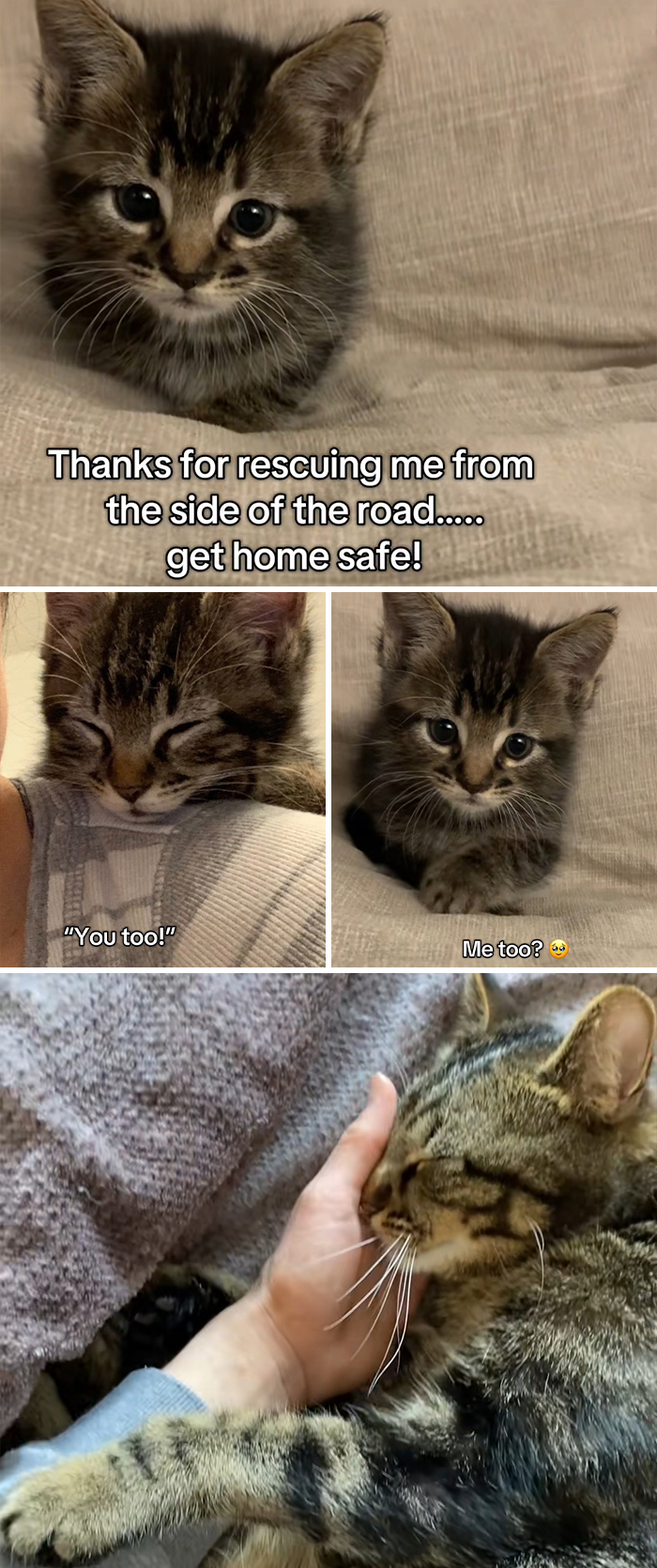 &#8220;Have A Great Life!&#8221;: 77 Of The Best Adoption Pics Ever