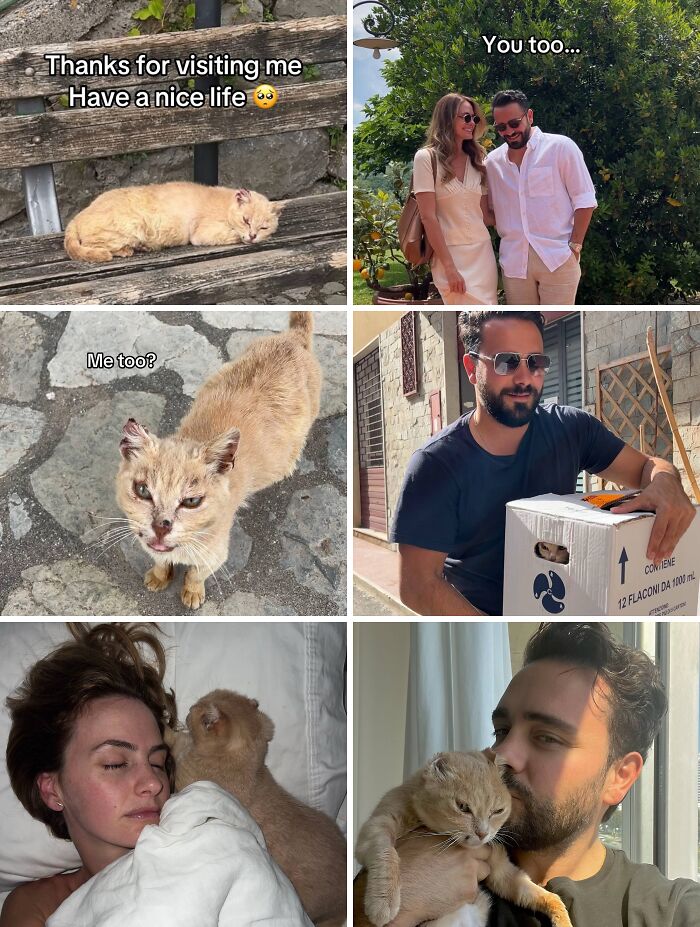 &#8220;Have A Great Life!&#8221;: 77 Of The Best Adoption Pics Ever