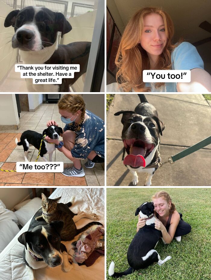 &#8220;Have A Great Life!&#8221;: 77 Of The Best Adoption Pics Ever