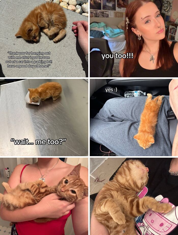 &#8220;Have A Great Life!&#8221;: 77 Of The Best Adoption Pics Ever