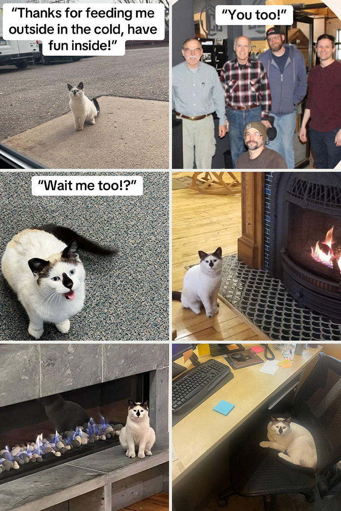 &#8220;Have A Great Life!&#8221;: 77 Of The Best Adoption Pics Ever