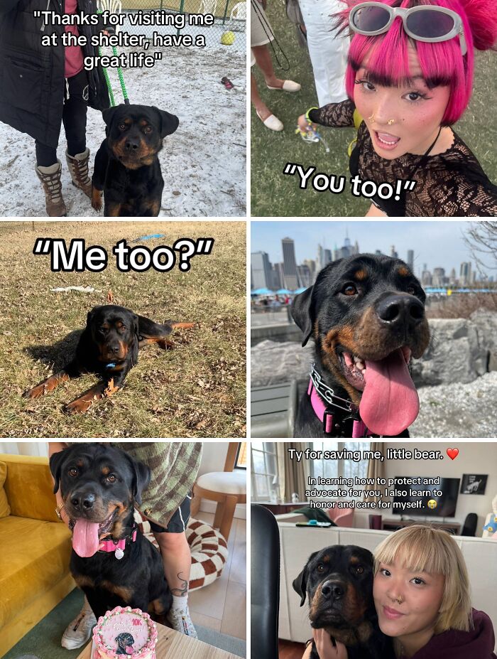 &#8220;Have A Great Life!&#8221;: 77 Of The Best Adoption Pics Ever