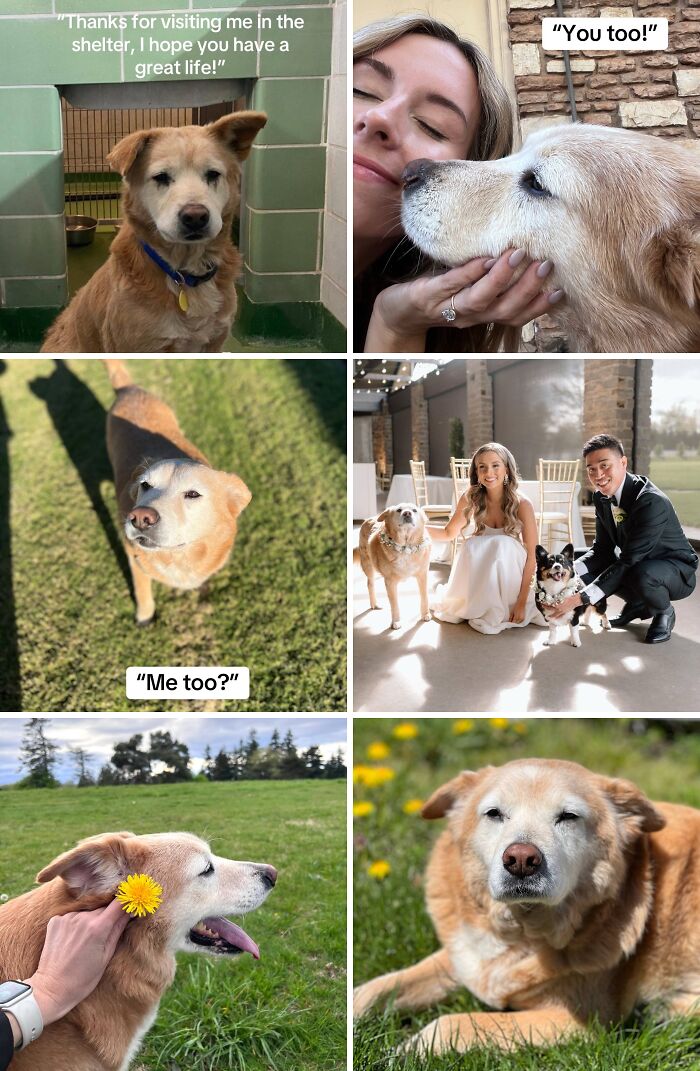 &#8220;Have A Great Life!&#8221;: 77 Of The Best Adoption Pics Ever
