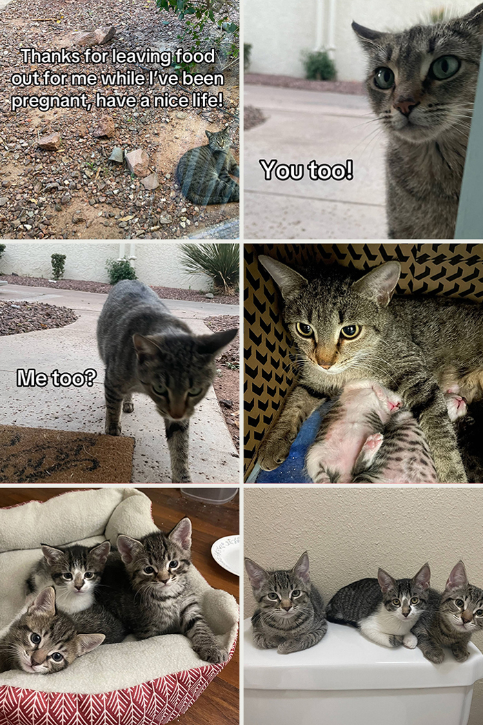 &#8220;Have A Great Life!&#8221;: 77 Of The Best Adoption Pics Ever