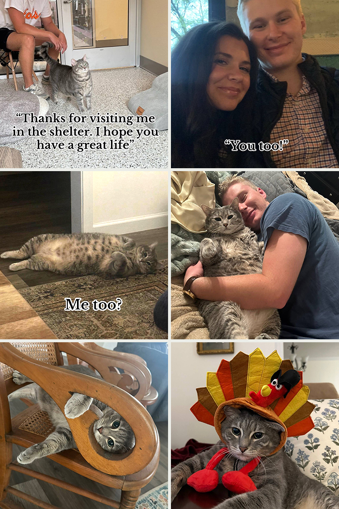 &#8220;Have A Great Life!&#8221;: 77 Of The Best Adoption Pics Ever