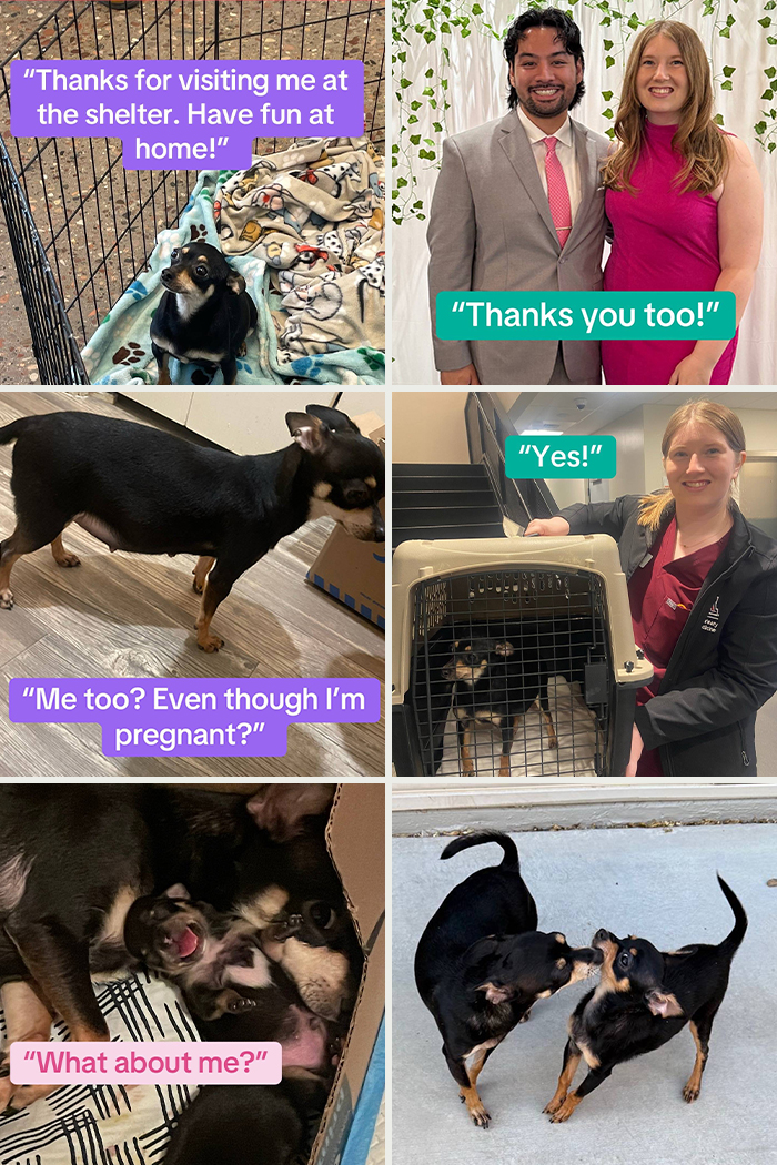 &#8220;Have A Great Life!&#8221;: 77 Of The Best Adoption Pics Ever