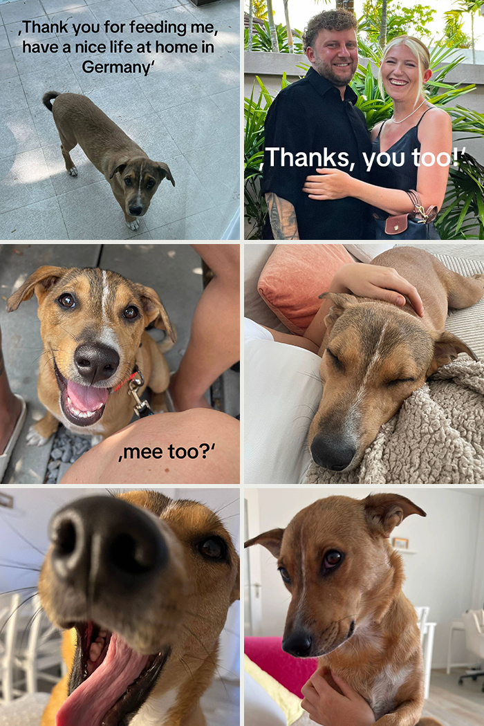 &#8220;Have A Great Life!&#8221;: 77 Of The Best Adoption Pics Ever