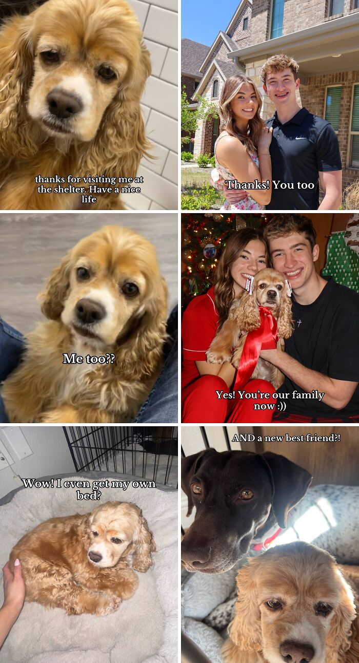 &#8220;Have A Great Life!&#8221;: 77 Of The Best Adoption Pics Ever