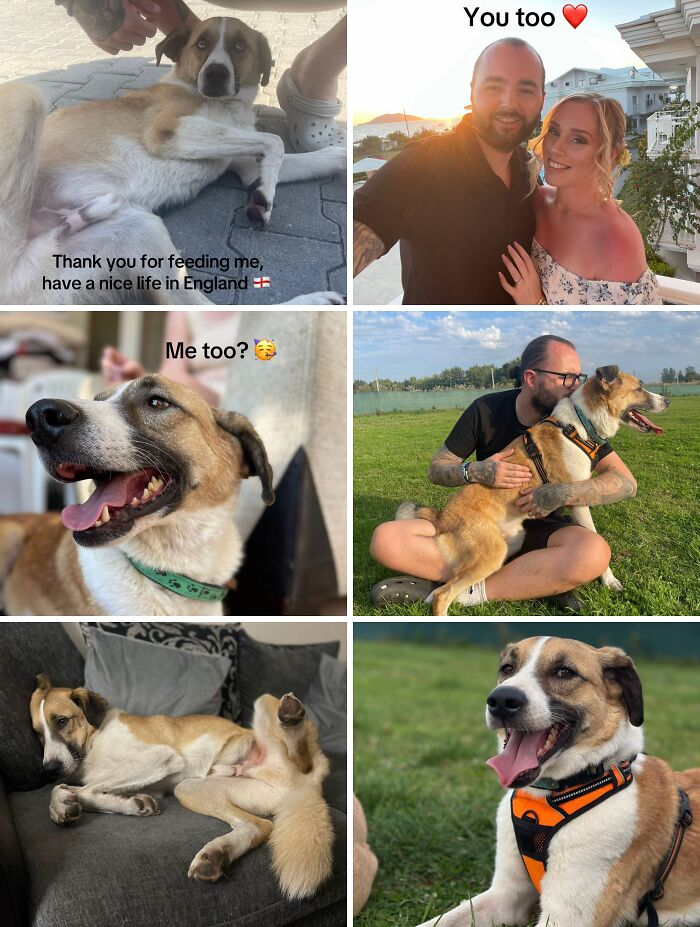 &#8220;Have A Great Life!&#8221;: 77 Of The Best Adoption Pics Ever
