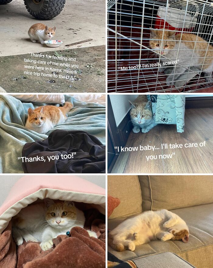 &#8220;Have A Great Life!&#8221;: 77 Of The Best Adoption Pics Ever