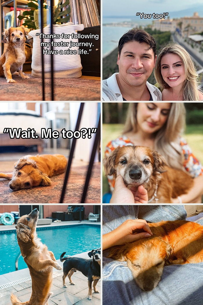 &#8220;Have A Great Life!&#8221;: 77 Of The Best Adoption Pics Ever