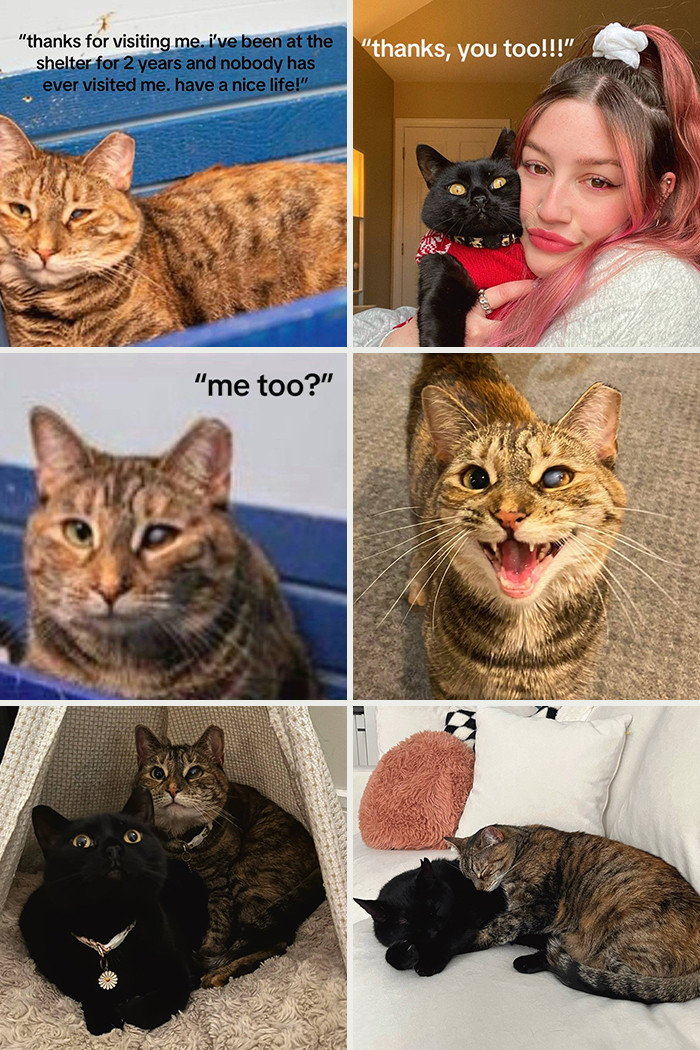&#8220;Have A Great Life!&#8221;: 77 Of The Best Adoption Pics Ever