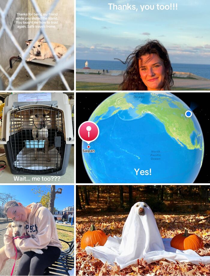 &#8220;Have A Great Life!&#8221;: 77 Of The Best Adoption Pics Ever