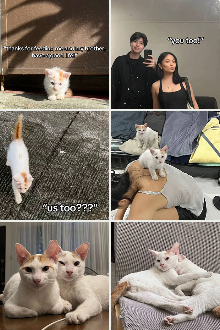 &#8220;Have A Great Life!&#8221;: 77 Of The Best Adoption Pics Ever