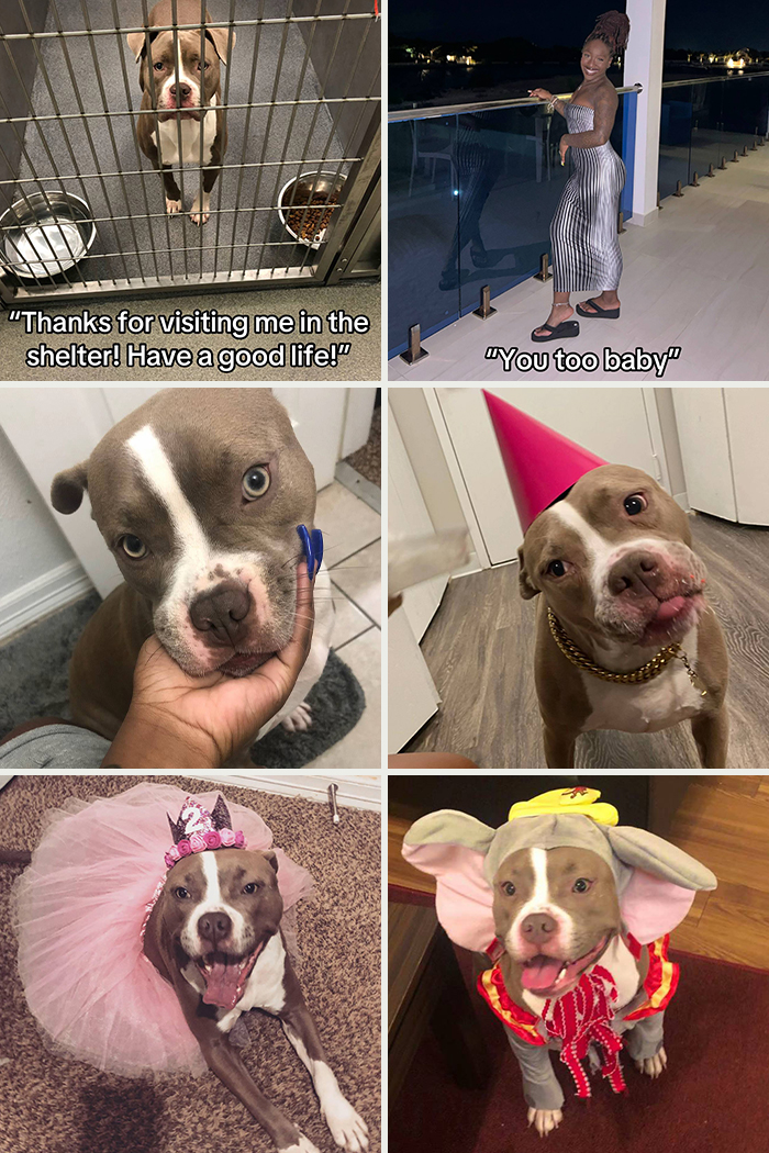 &#8220;Have A Great Life!&#8221;: 77 Of The Best Adoption Pics Ever