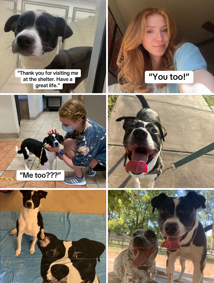 &#8220;Have A Great Life!&#8221;: 77 Of The Best Adoption Pics Ever