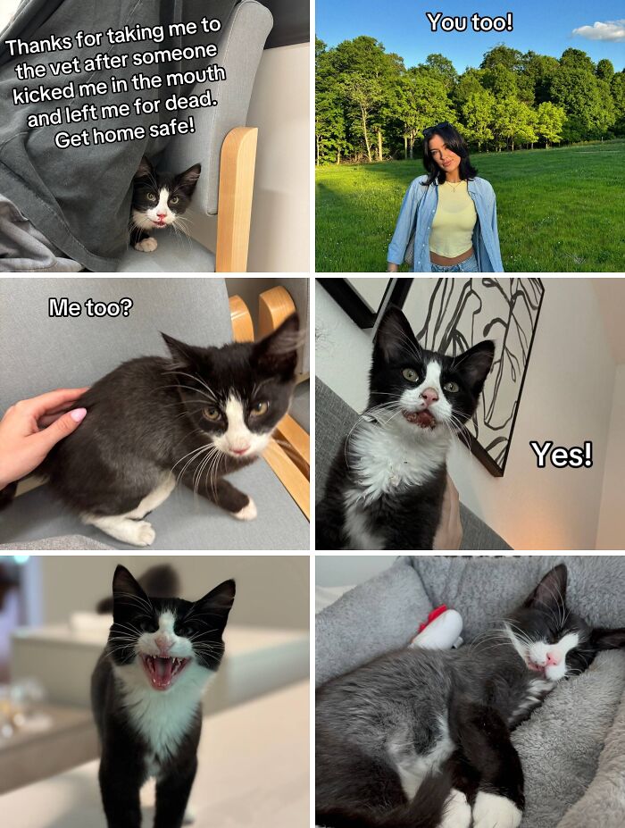 &#8220;Have A Great Life!&#8221;: 77 Of The Best Adoption Pics Ever