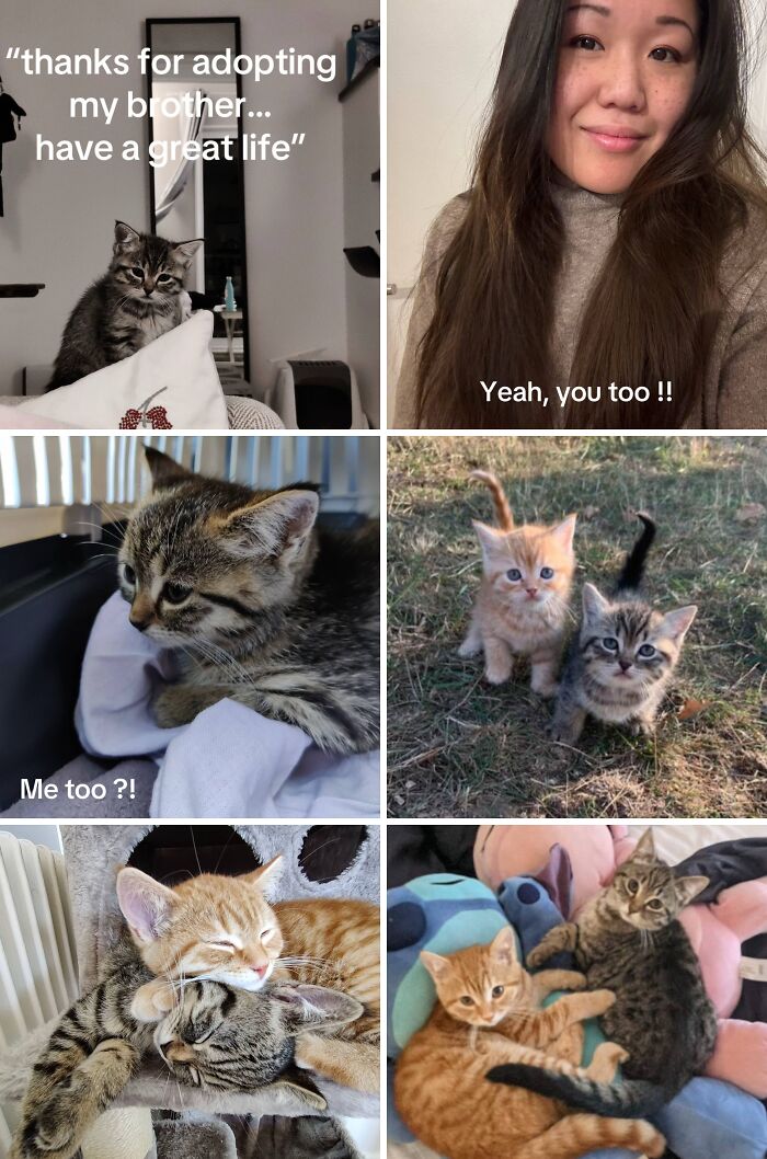 &#8220;Have A Great Life!&#8221;: 77 Of The Best Adoption Pics Ever