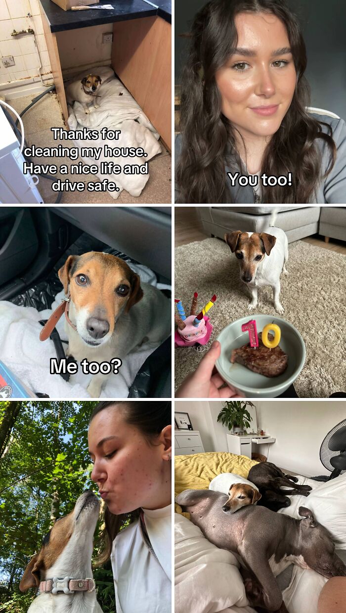 &#8220;Have A Great Life!&#8221;: 77 Of The Best Adoption Pics Ever