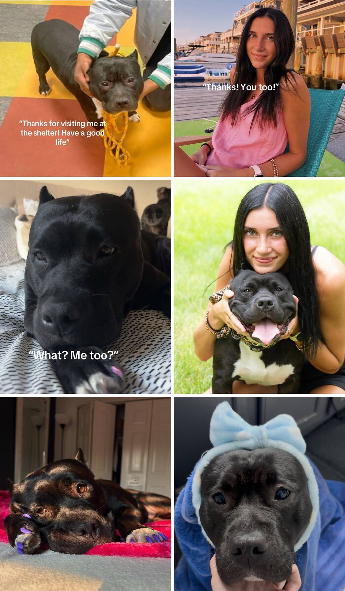 &#8220;Have A Great Life!&#8221;: 77 Of The Best Adoption Pics Ever