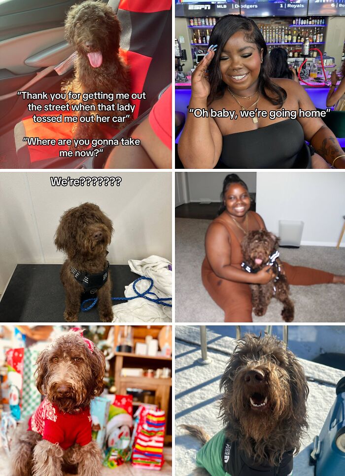 &#8220;Have A Great Life!&#8221;: 77 Of The Best Adoption Pics Ever