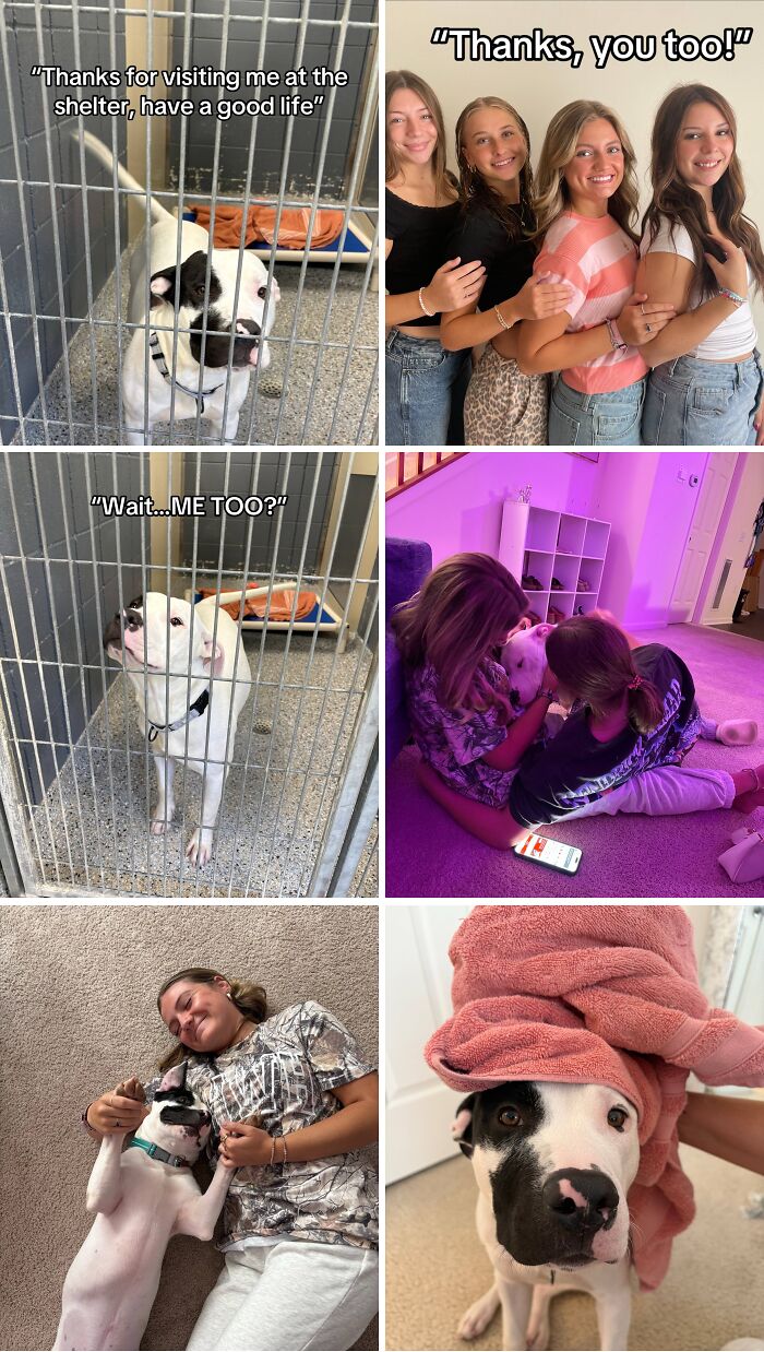 &#8220;Have A Great Life!&#8221;: 77 Of The Best Adoption Pics Ever