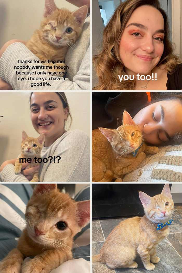 &#8220;Have A Great Life!&#8221;: 77 Of The Best Adoption Pics Ever