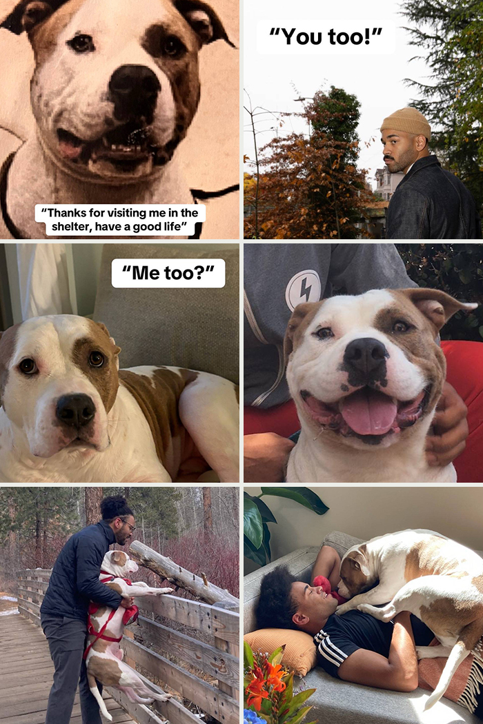 &#8220;Have A Great Life!&#8221;: 77 Of The Best Adoption Pics Ever