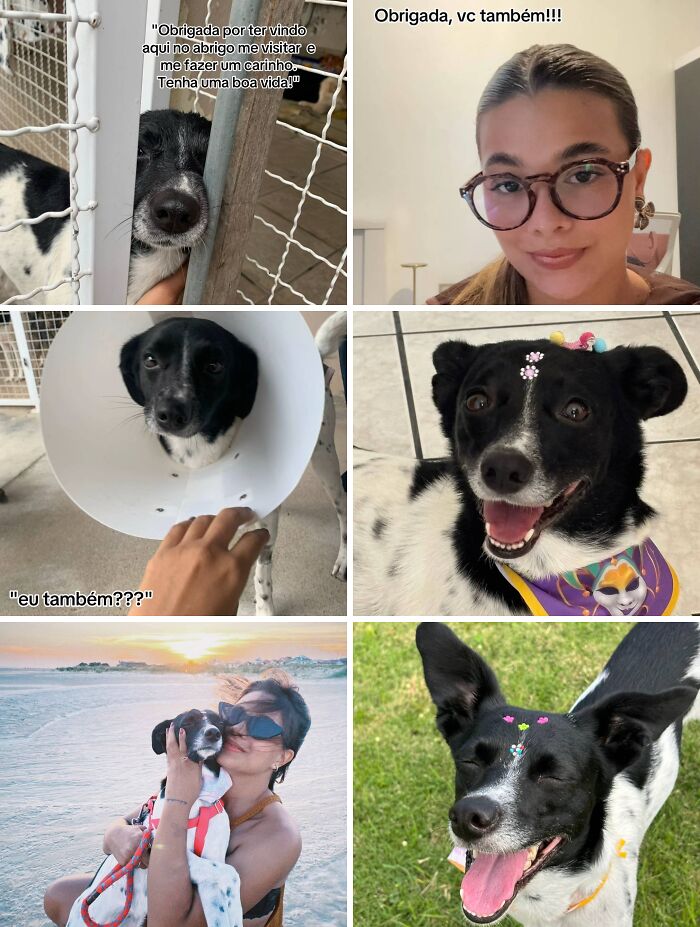 &#8220;Have A Great Life!&#8221;: 77 Of The Best Adoption Pics Ever