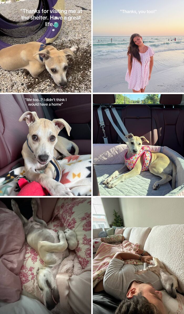 &#8220;Have A Great Life!&#8221;: 77 Of The Best Adoption Pics Ever