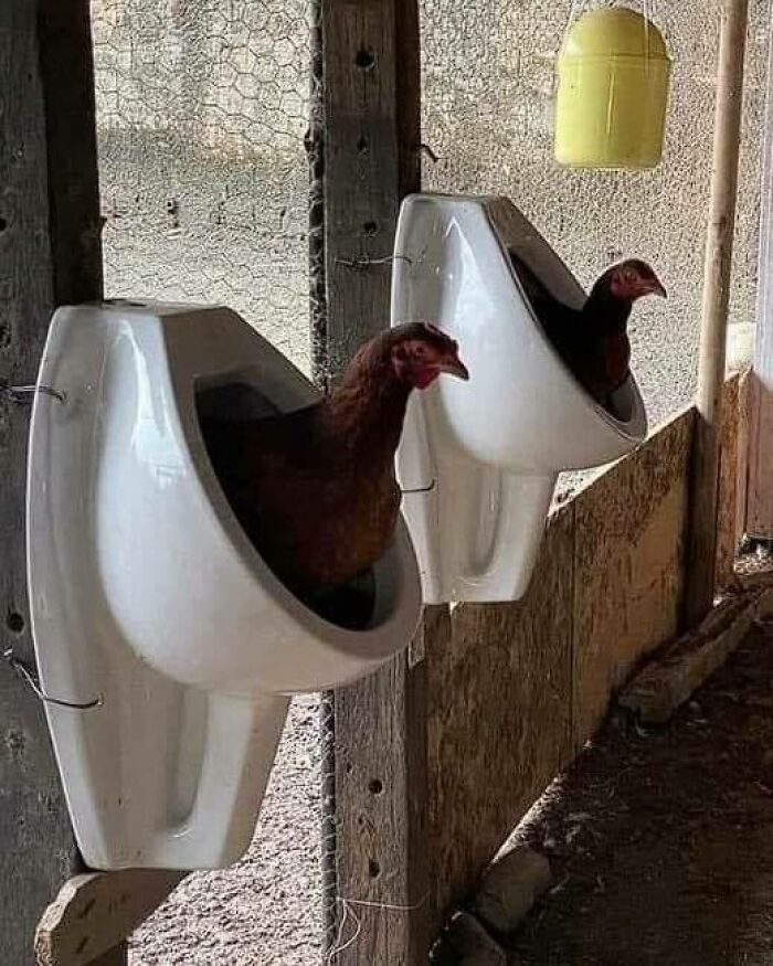 89 Construction And Designs That Look Like They Were Created By Someone’s Last Two Brain Cells