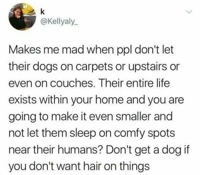 96 Relatable Funny Memes To Balance Out Everything That’s Going Wrong Today (New Pics)