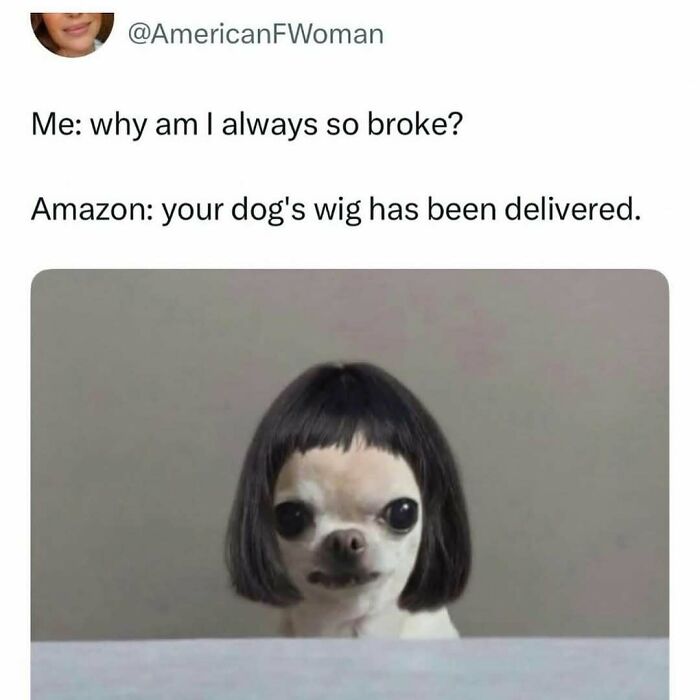96 Relatable Funny Memes To Balance Out Everything That’s Going Wrong Today (New Pics)