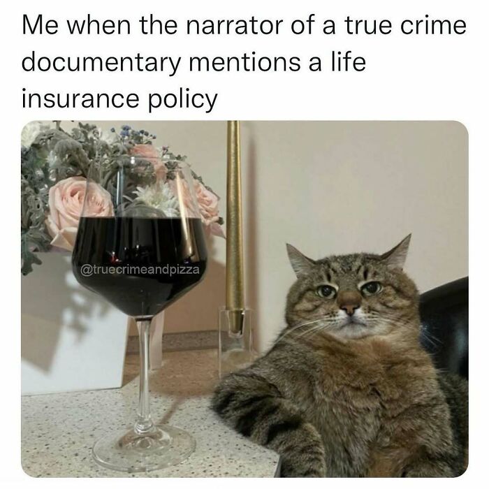 94 Funny Memes For Everyone Who Binges On True Crime As Self-Care