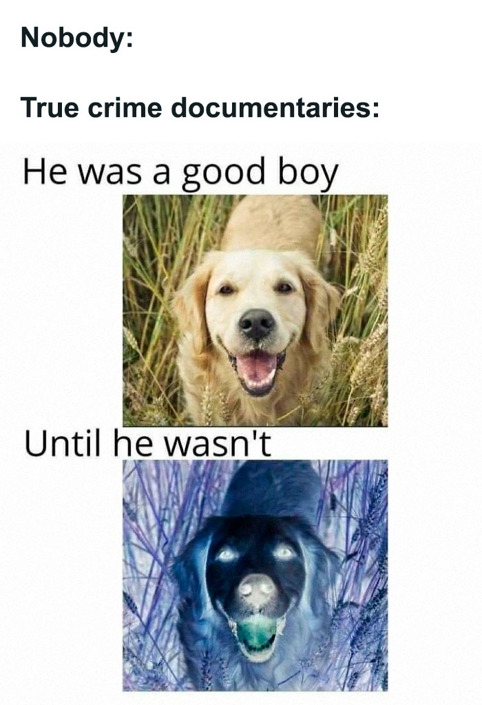 94 Funny Memes For Everyone Who Binges On True Crime As Self-Care