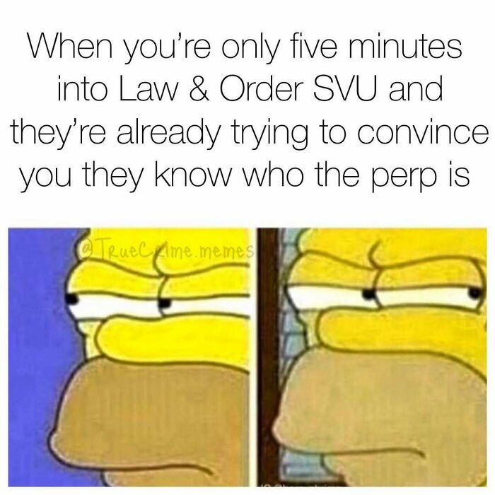 94 Funny Memes For Everyone Who Binges On True Crime As Self-Care