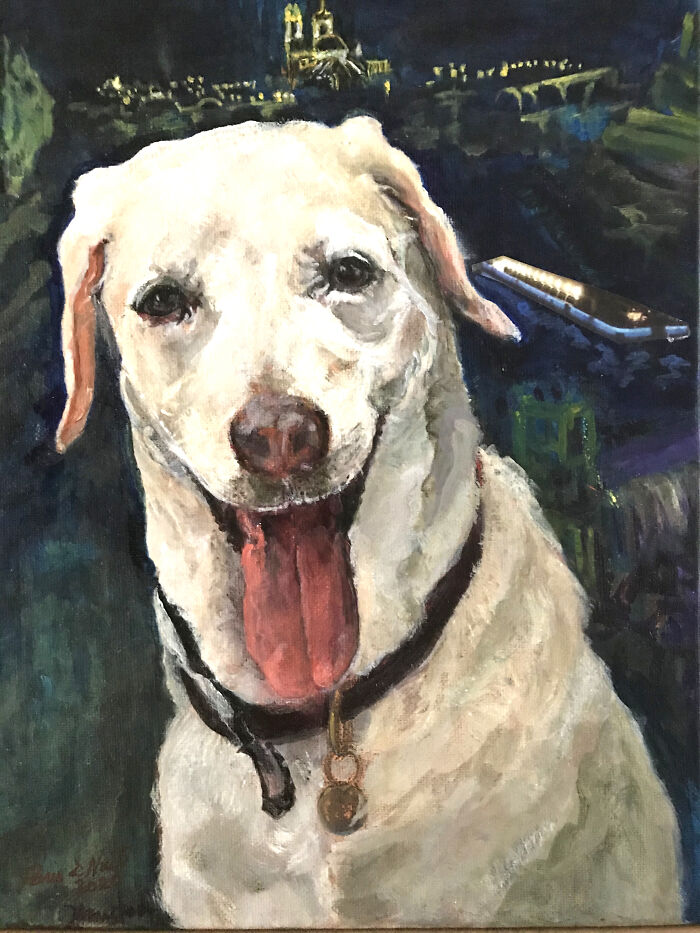 I Paint Custom Pet Portraits That Capture Personality And Spirit (12 Pics)