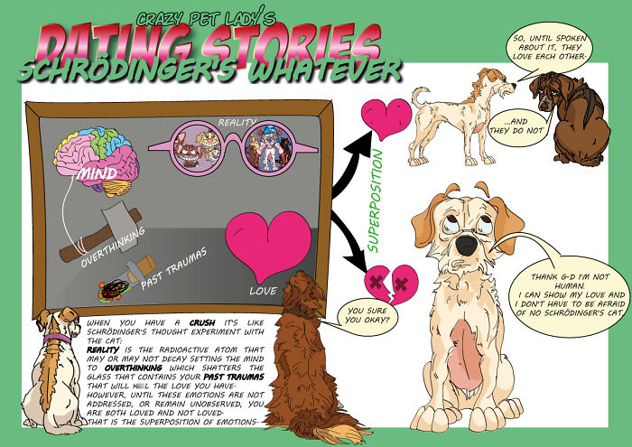 Newer Crazy Pet Lady Stories (14 Pics)