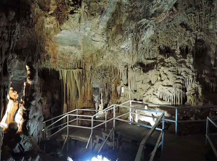 Mysterious &#8216;Petralona Man&#8217; Skull Found In Cave 60 Years Ago Baffles Experts After New Study