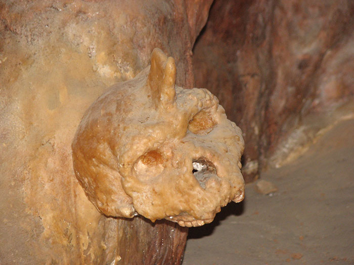Mysterious &#8216;Petralona Man&#8217; Skull Found In Cave 60 Years Ago Baffles Experts After New Study